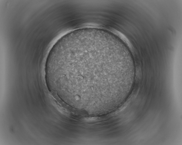 X0000113111435200909181619