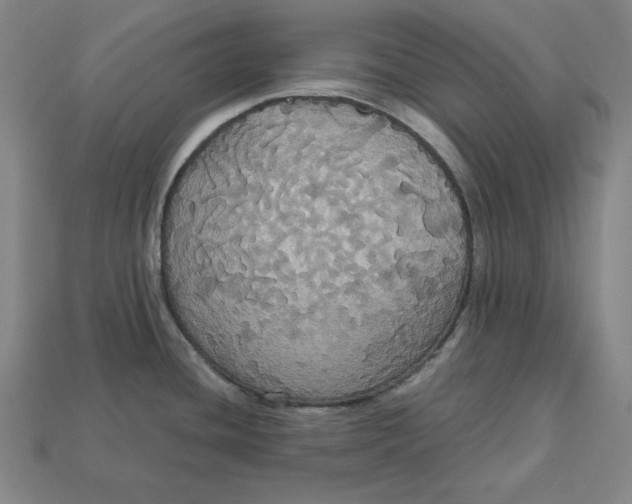 X0000113111436200909181619