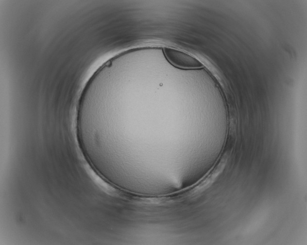 X0000113111438200909181619
