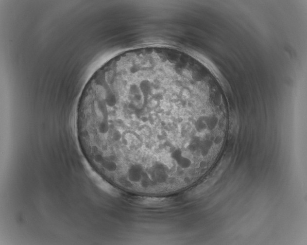 X0000113111439200909181619