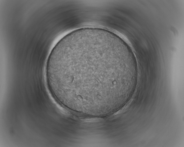 X0000113111440200909181619