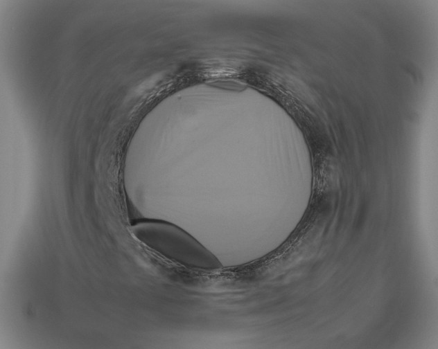 X0000113111441200909181618