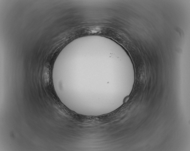X0000113111442200909181618