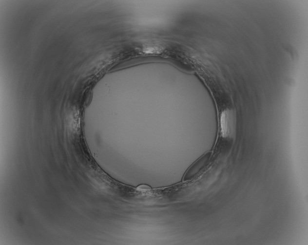 X0000113111443200909181618