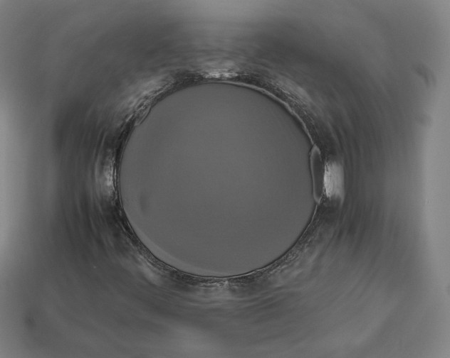 X0000113111444200909181618