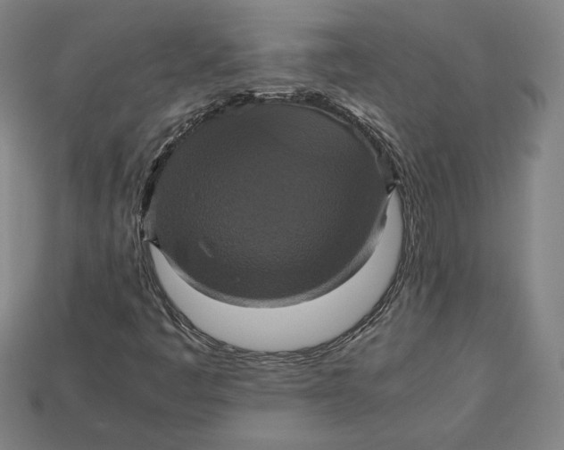 X0000113111445200909181618