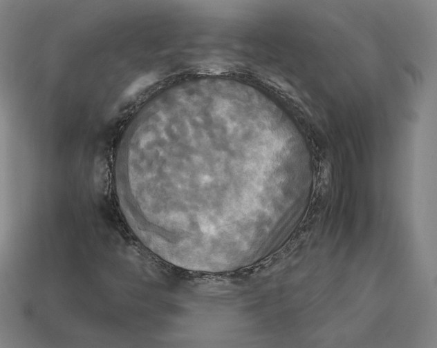 X0000113111446200909181618