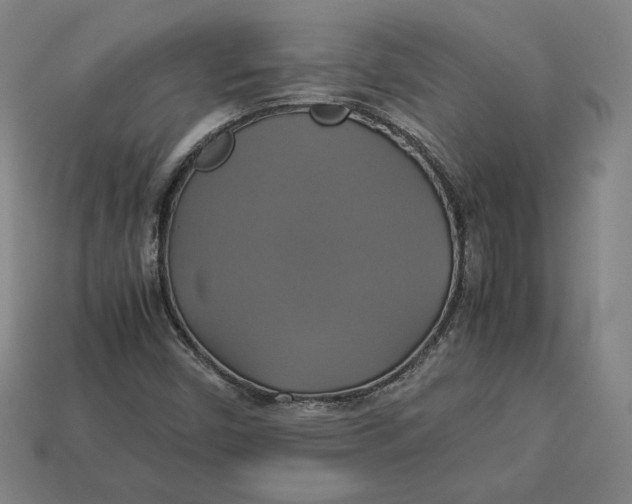 X0000113111450200909181618
