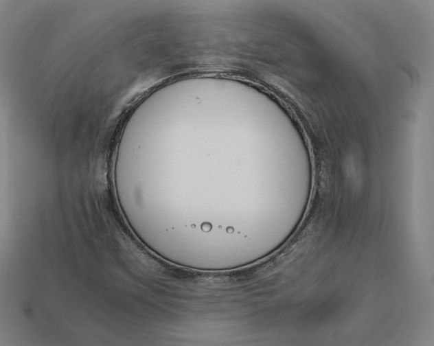 X0000113111451200909181618