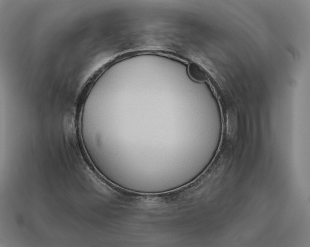 X0000113111452200909181618