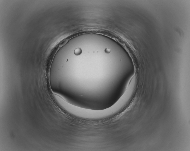 X0000113111453200909181618