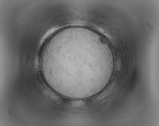 X0000113111454200909181618