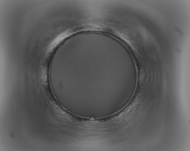 X0000113111455200909181618