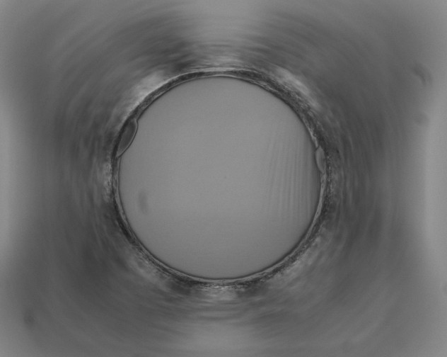 X0000113111457200909181618