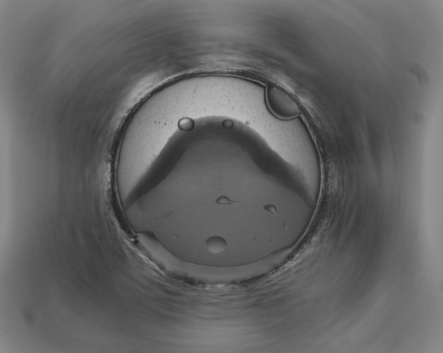 X0000113111459200909181618