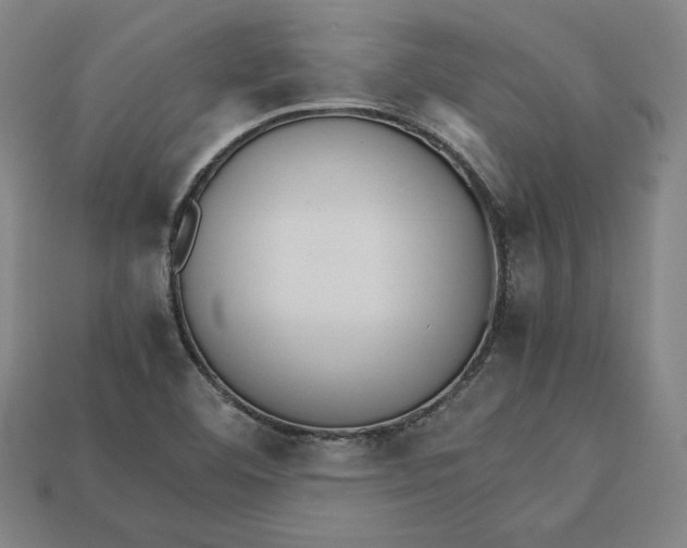 X0000113111460200909181618
