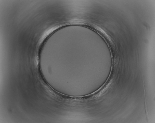 X0000113111461200909181618