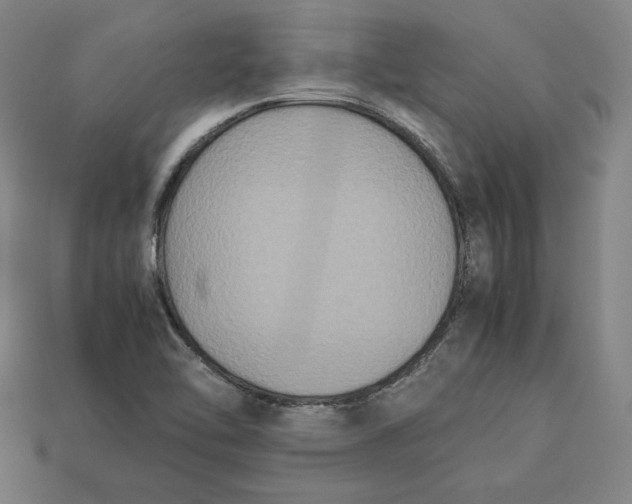 X0000113111462200909181618