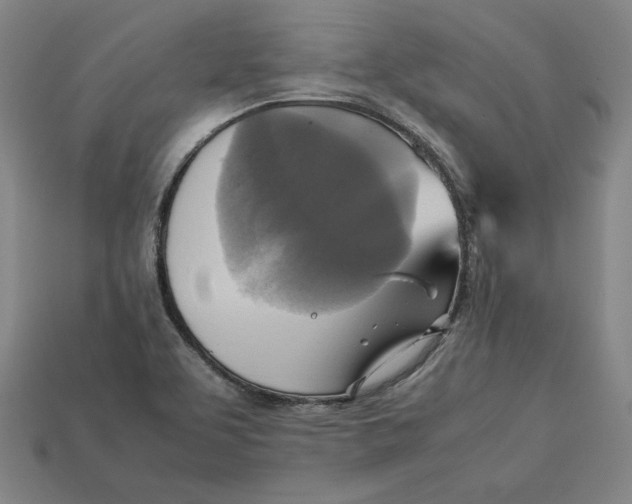 X0000113111463200909181618