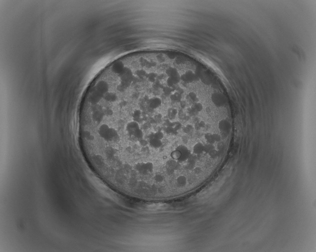 X0000113111467200909181618