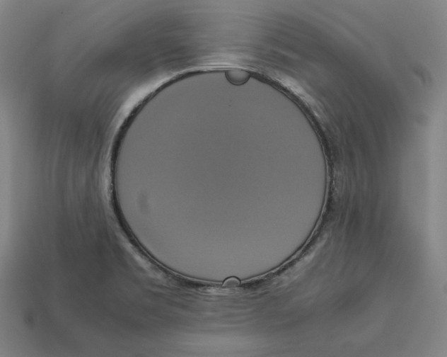 X0000113111469200909181618