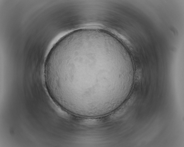 X0000113111470200909181618