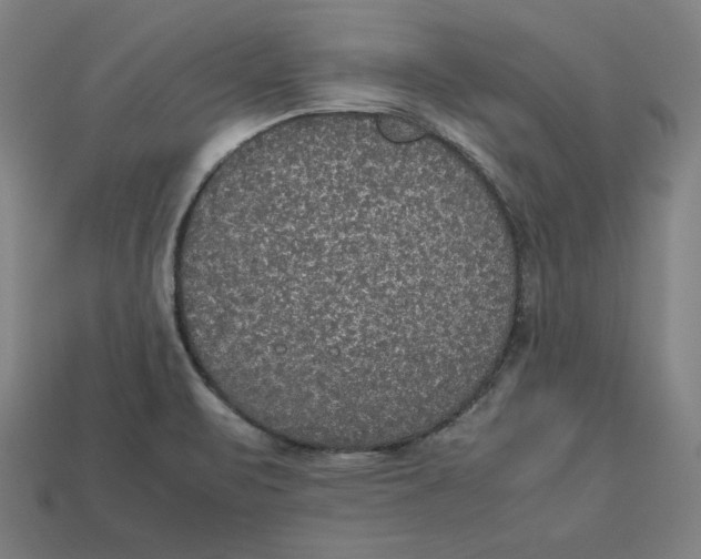 X0000113111471200909181618