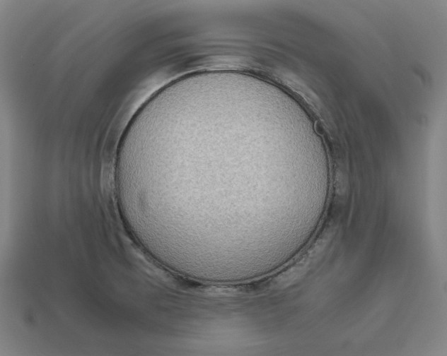 X0000113111473200909181618