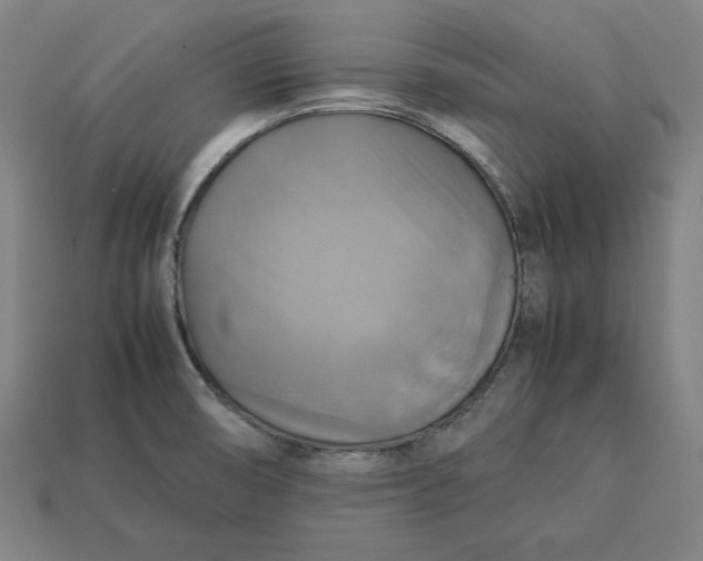 X0000113111474200909181618