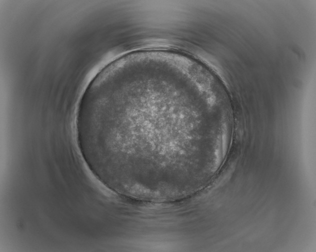 X0000113111475200909181618