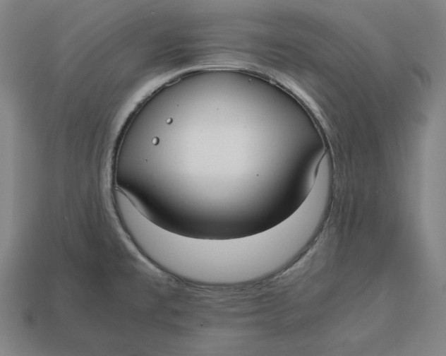 X0000113111477200909181618