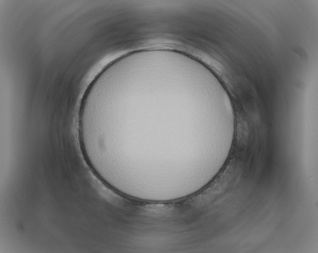 X0000113111478200909181618
