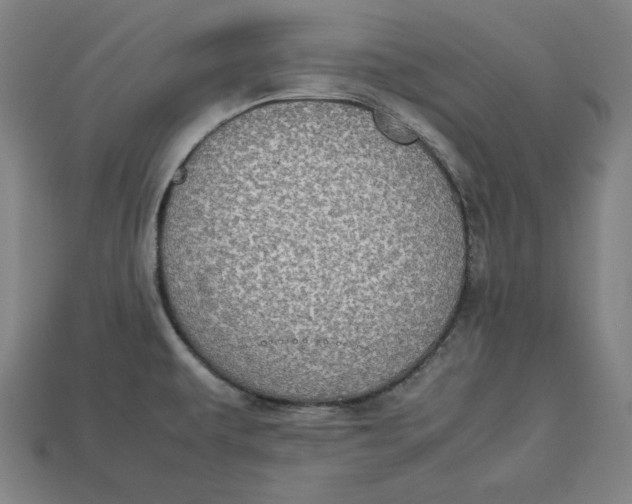 X0000113111479200909181618