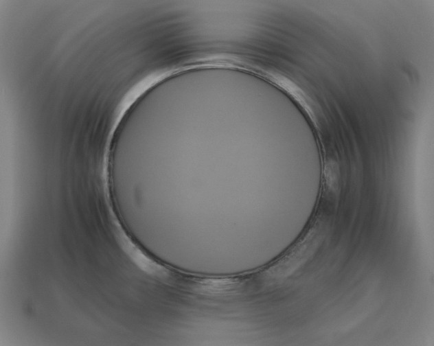 X0000113111482200909181618