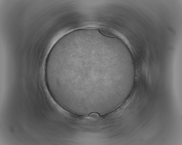 X0000113111483200909181618