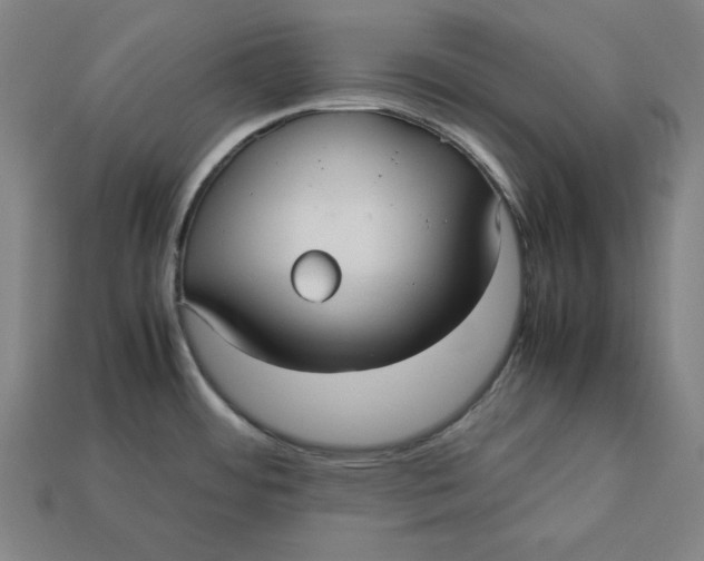 X0000113111484200909181618