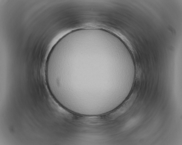 X0000113111486200909181618