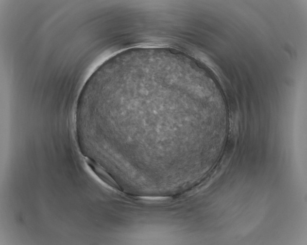 X0000113111487200909181618