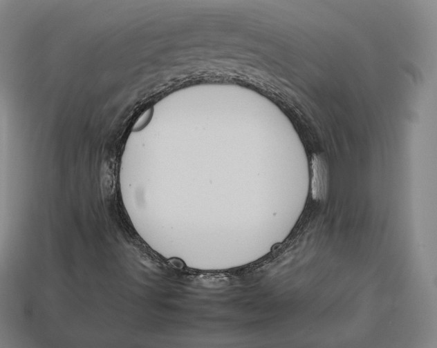 X0000113111491200909181617