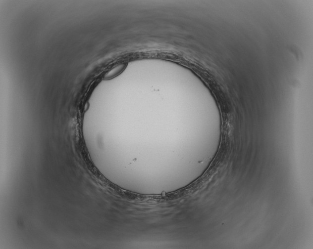 X0000113111493200909181617