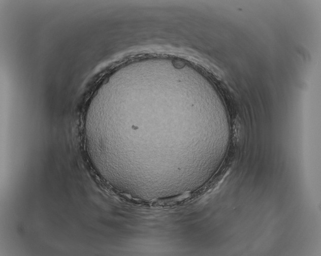 X0000113111494200909181617