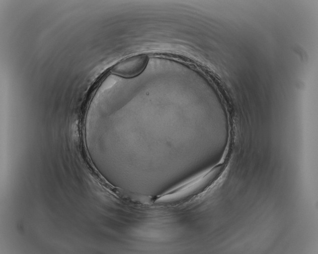 X0000113111497200909181617