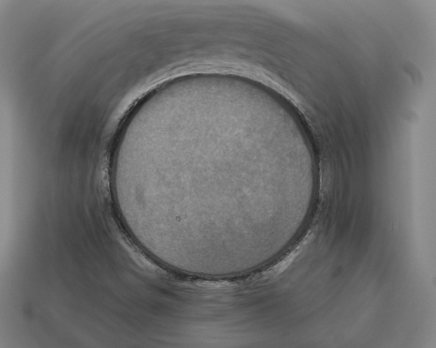 X0000113111498200909181617