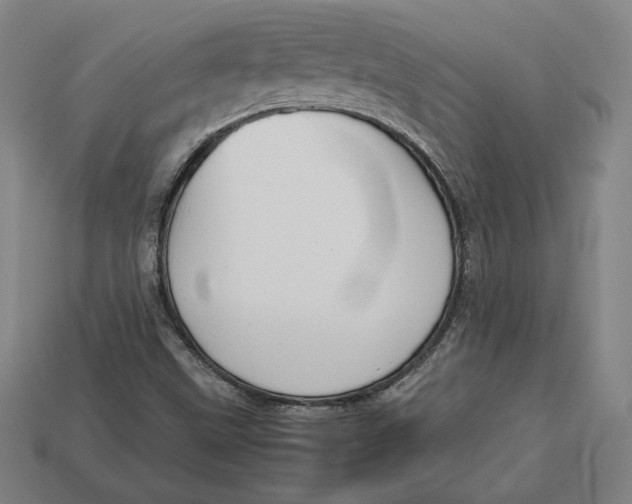 X0000113111499200909181617