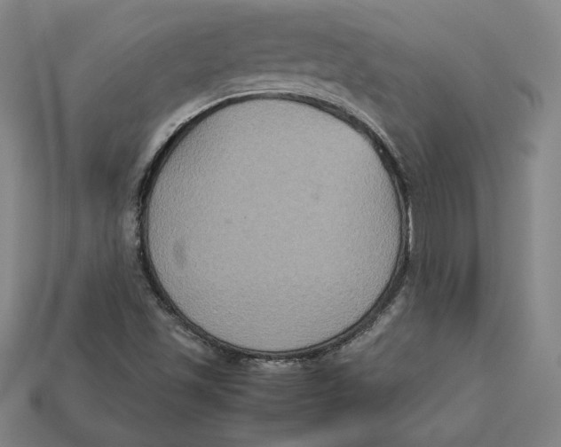 X0000113111501200909181617