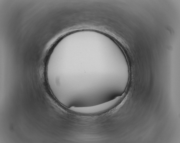 X0000113111502200909181617
