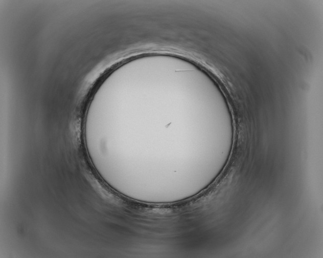 X0000113111503200909181617