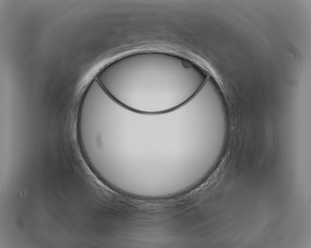 X0000113111504200909181617