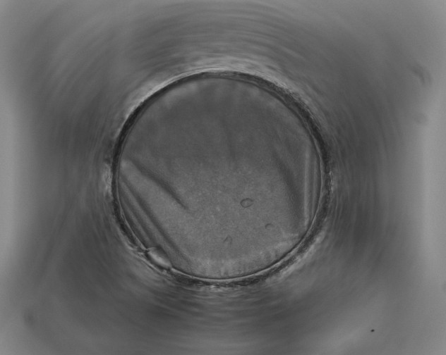 X0000113111505200909181617