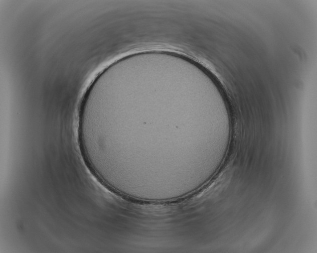 X0000113111508200909181617